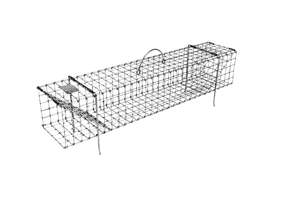 Traps Specialty Traps Muskrat Colony Traps Collapsible Muskrat