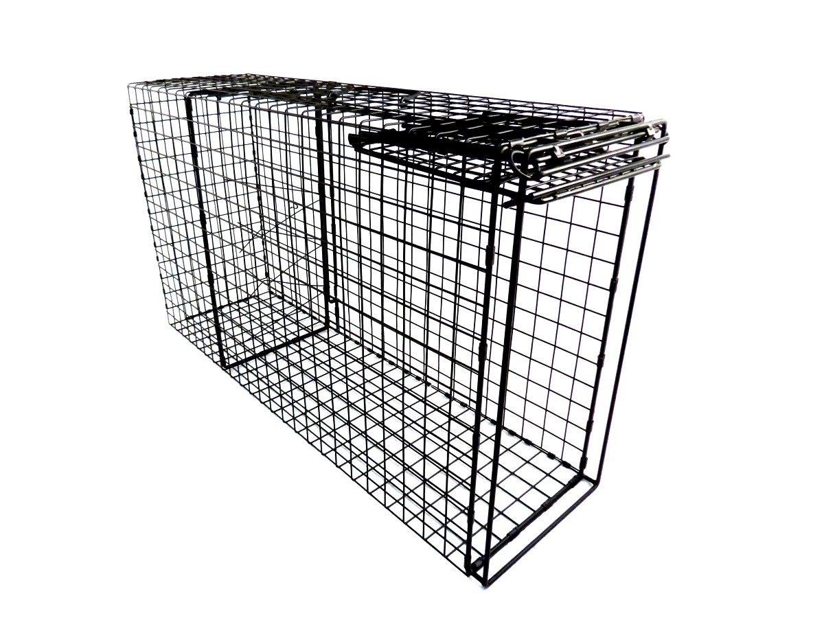 Traps :: Comstock Series Traps :: Comstock Series Specialty Traps